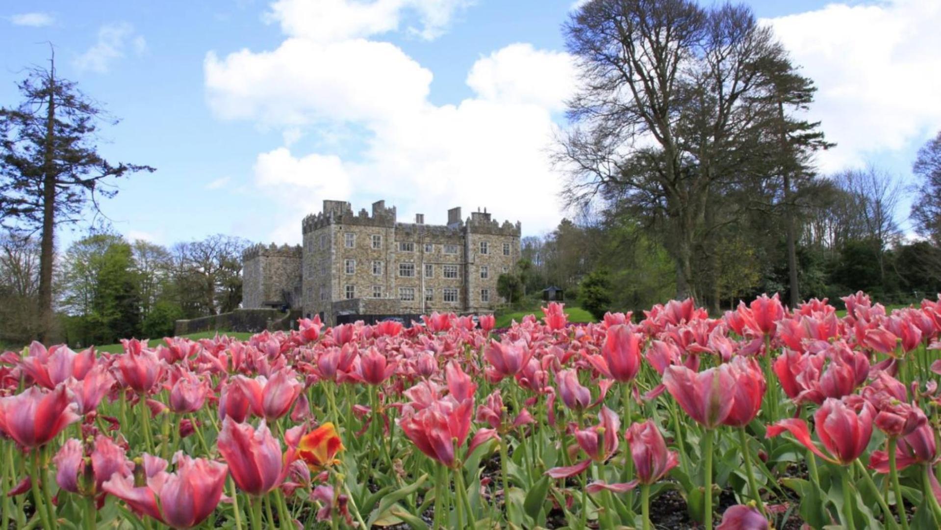 Waterford Castle Hotel Lodges Exterior foto